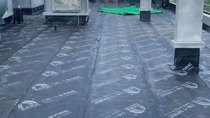 JS防水涂料一型与二型施工对比：关键差异与选择策略